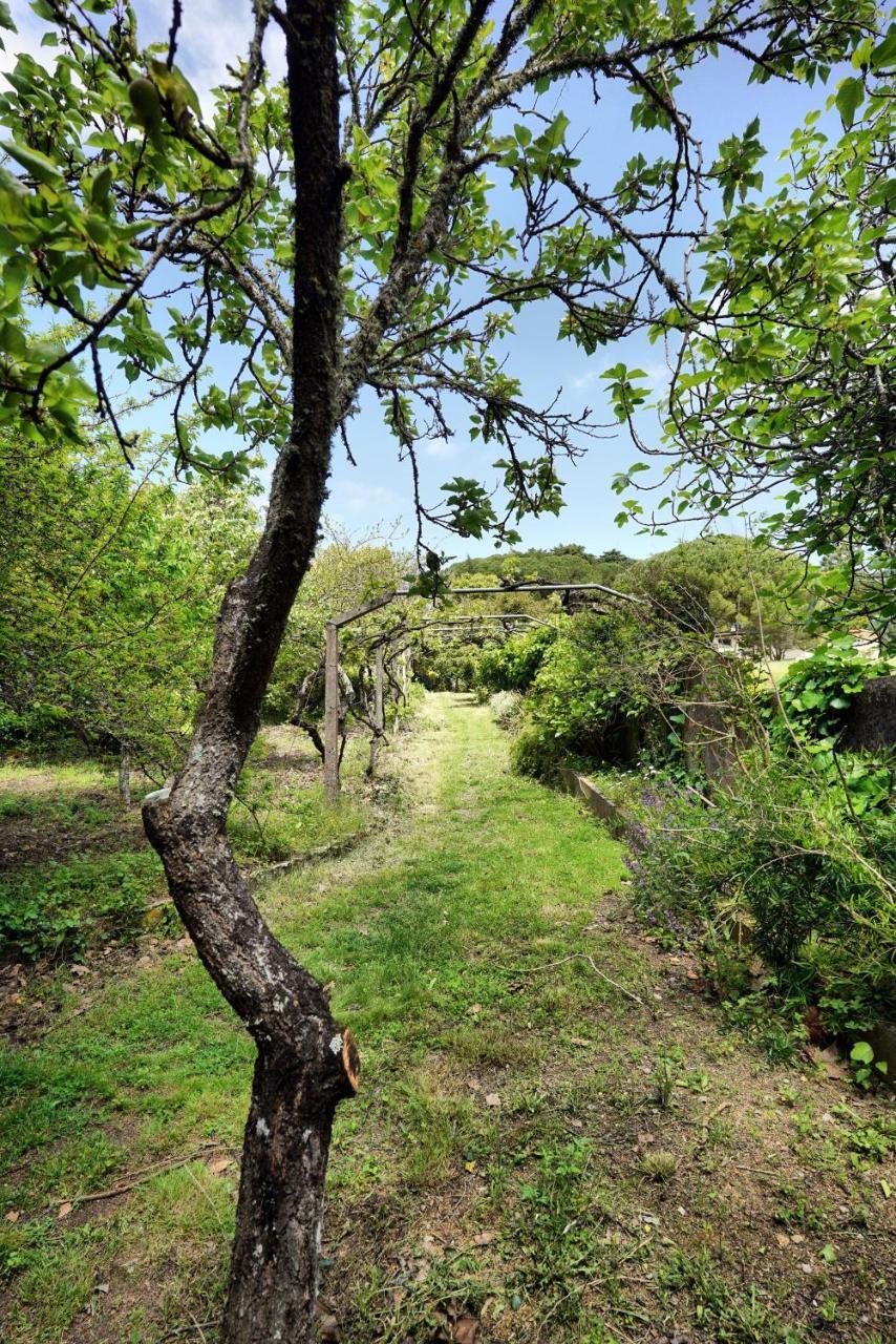 Villa Casa da Rampa Sintra Esterno foto